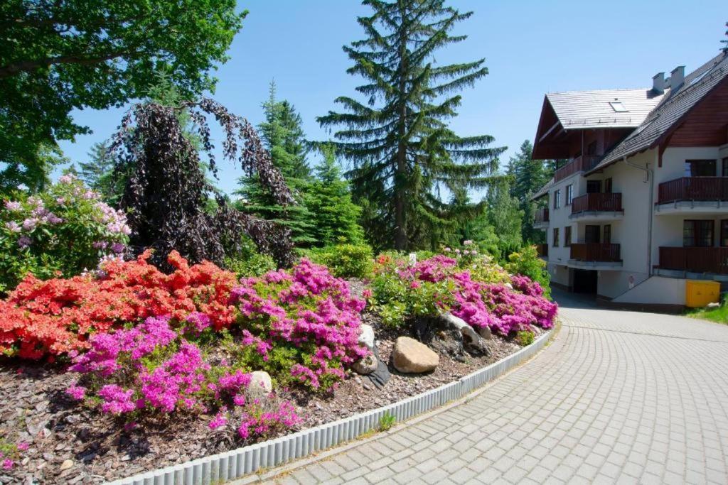 Apartament Polana-카르파츠 외부 사진